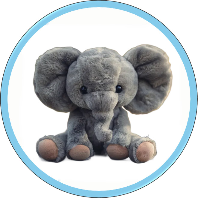 কাস্টমাইজেশন